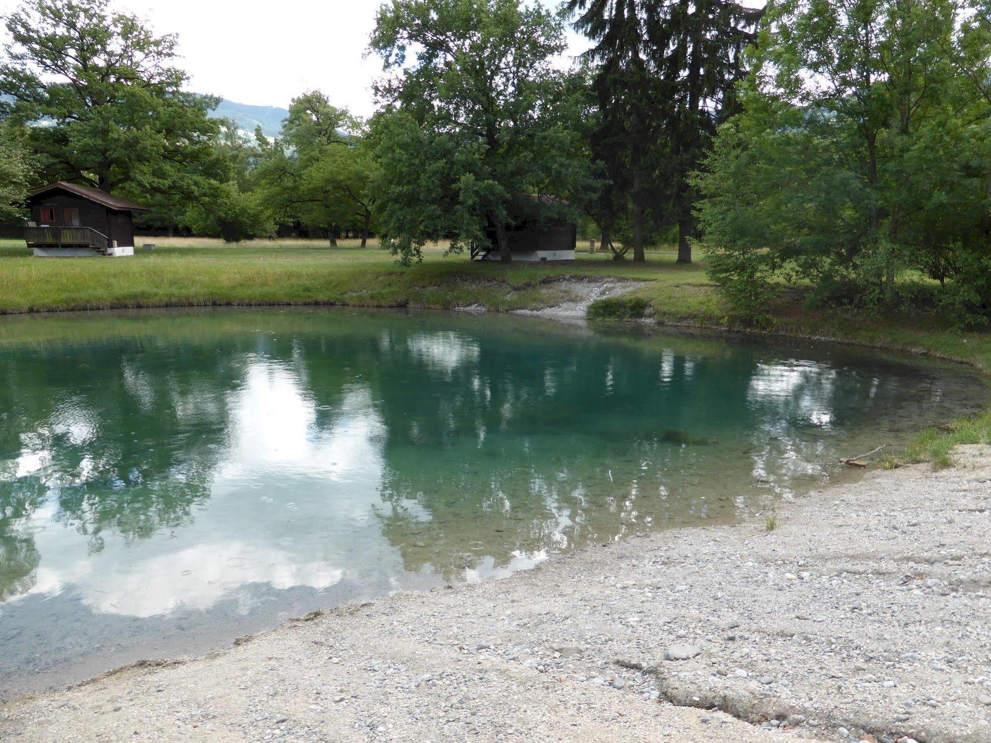 Camping L'Ecureuil - Mont-Blanc Village Domancy 外观 照片